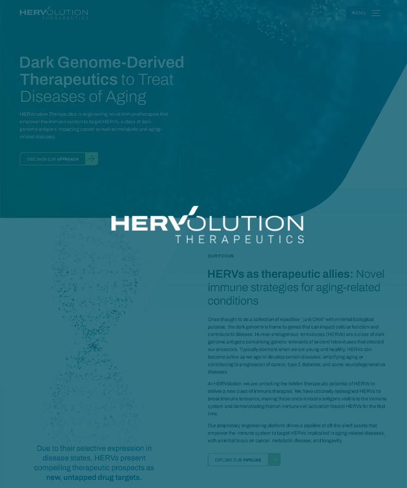 hervolutionytx_portfolio