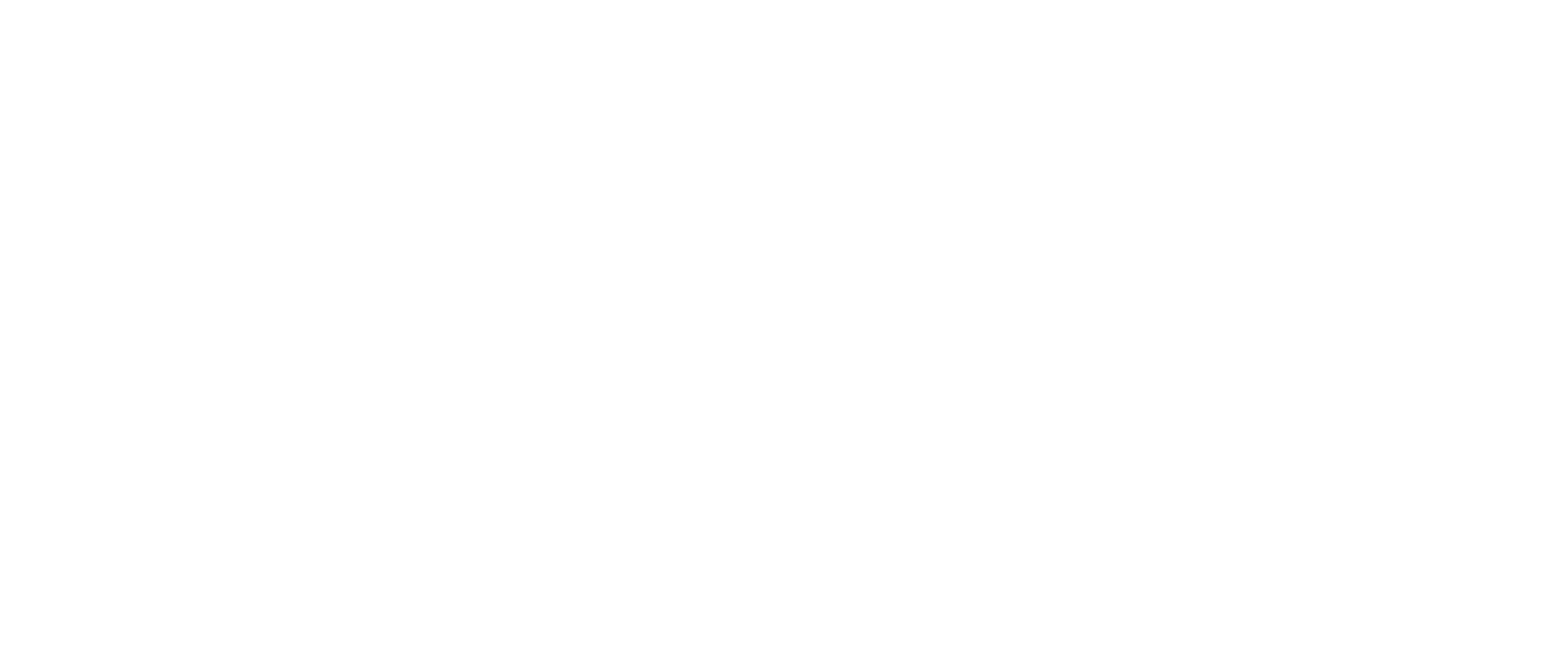 logo-inprother