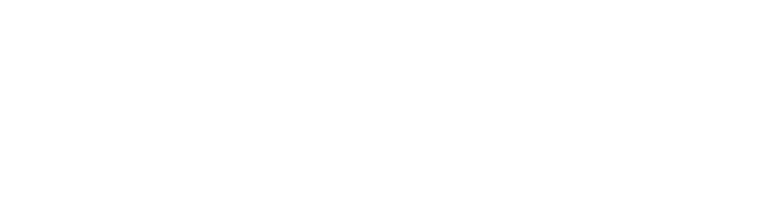 logo_wings